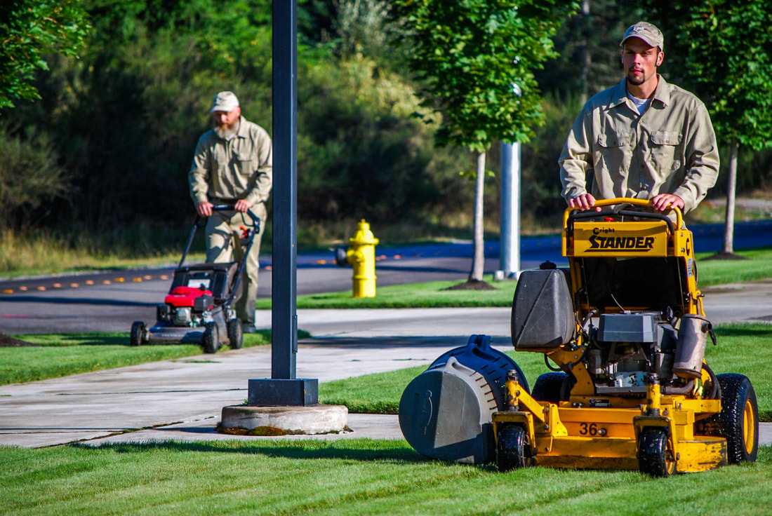 They worker mows the grass on the site, Lawn Care Services in the garden